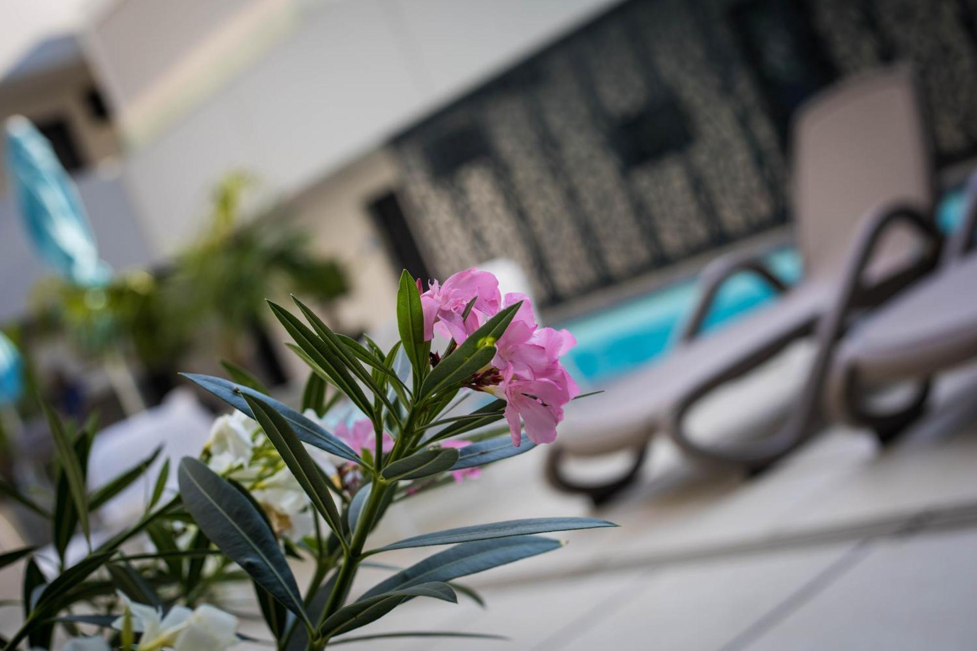 Fonyód Sunset Resort - Lakeside Apartment المظهر الخارجي الصورة
